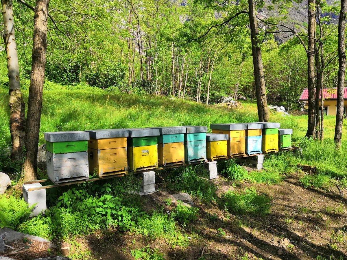 Agriturismo Val Codera Verceia Kültér fotó