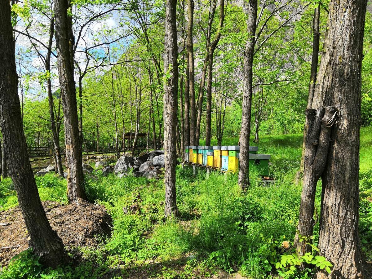 Agriturismo Val Codera Verceia Kültér fotó