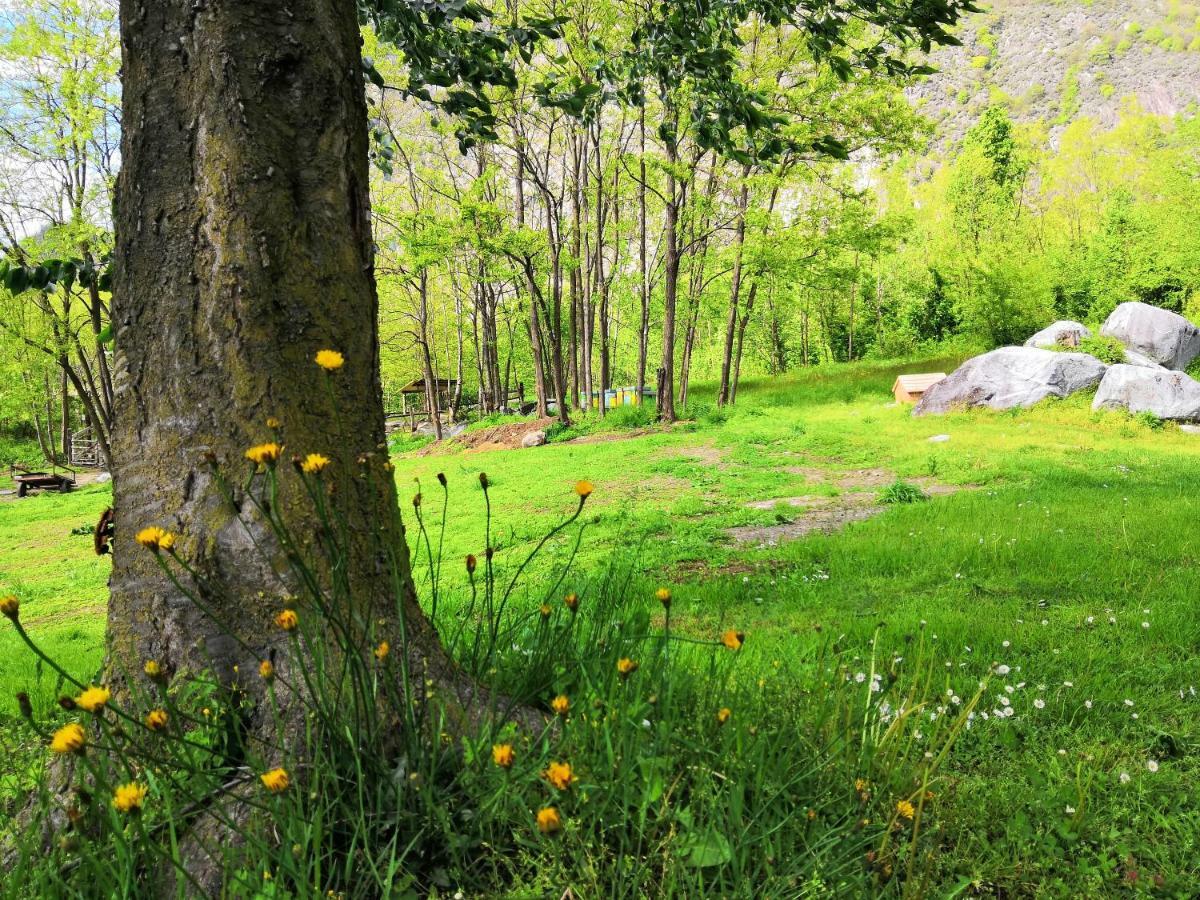 Agriturismo Val Codera Verceia Kültér fotó