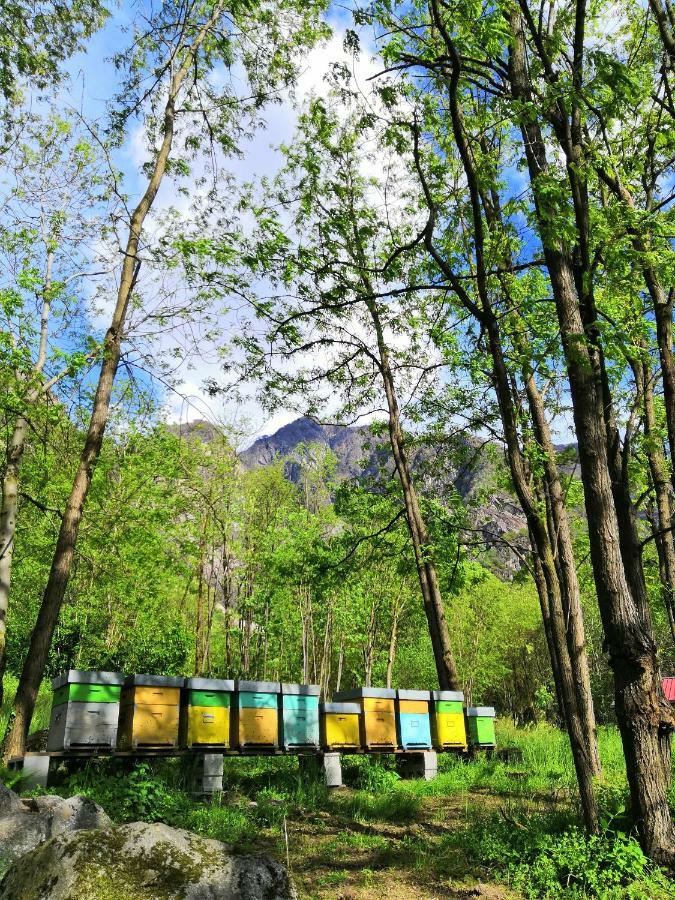Agriturismo Val Codera Verceia Kültér fotó