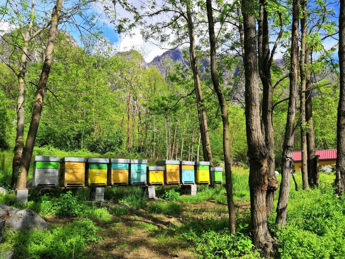 Agriturismo Val Codera Verceia Kültér fotó