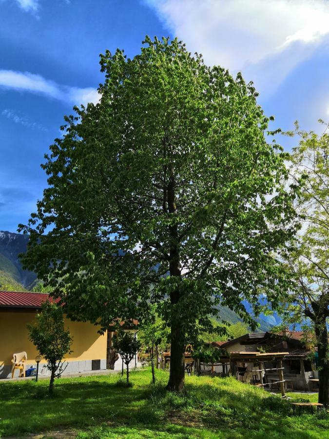 Agriturismo Val Codera Verceia Kültér fotó